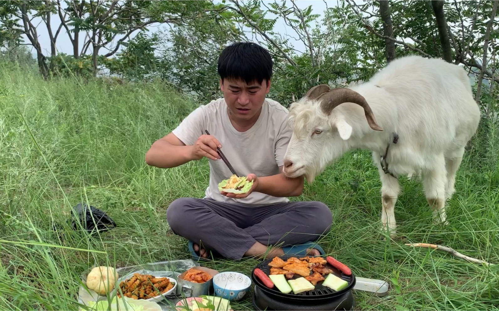 [图]这个羊遍地绿草不吃 你偏要吃肉