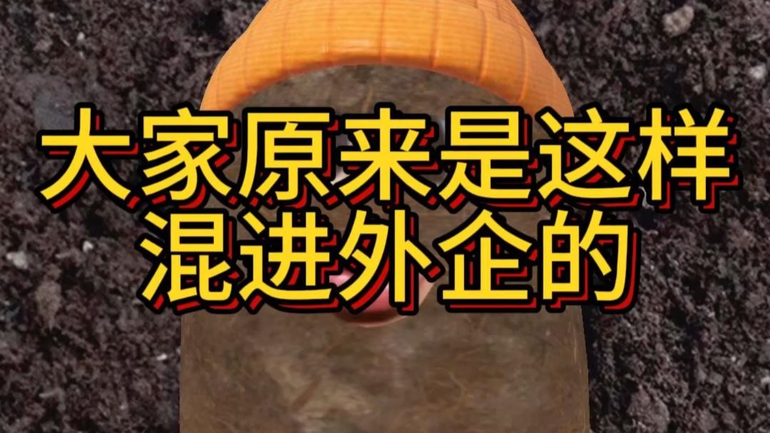 大家原来是这样 混进外企的