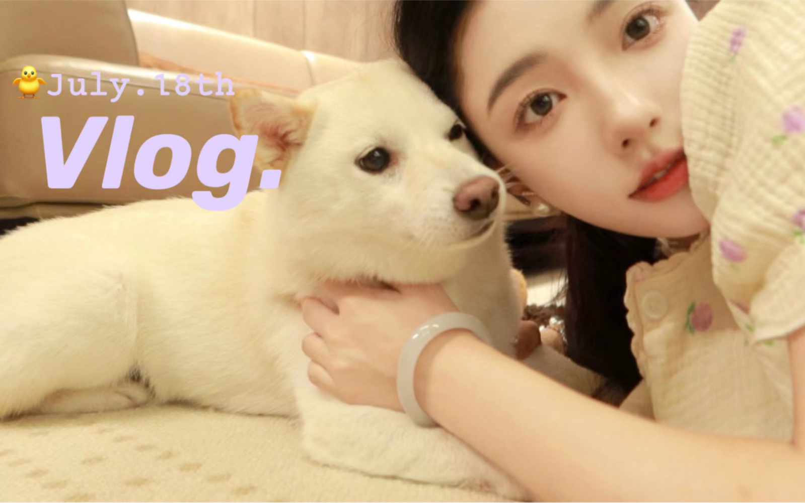 治愈Vlog|请永远做我的宝贝 我的小狗哔哩哔哩bilibili