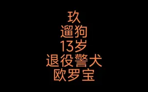 Video herunterladen: 玖-遛遛13岁退役警犬欧罗宝