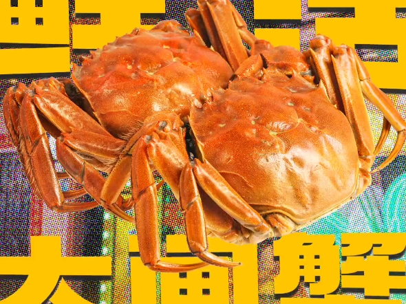 【喜碧海鲜桥东店】最新视频上线,求关注!