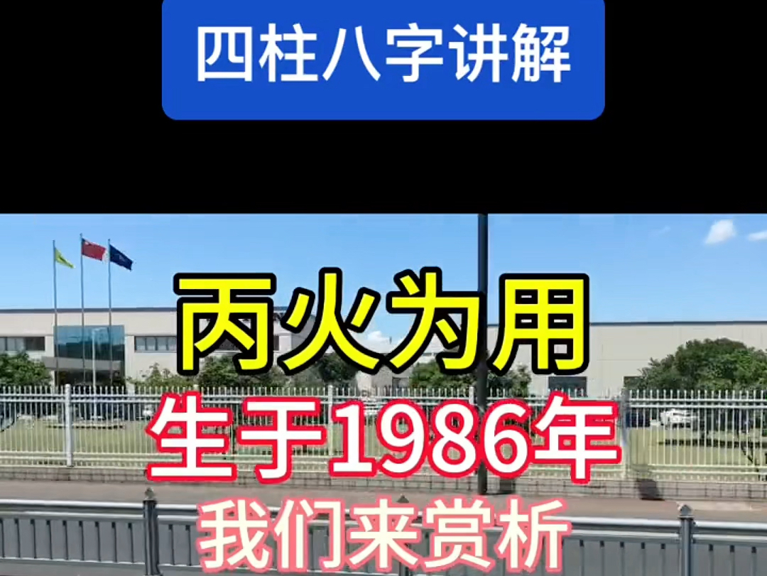 四柱八字讲解:丙火为用,生于1986年,我们来赏析哔哩哔哩bilibili