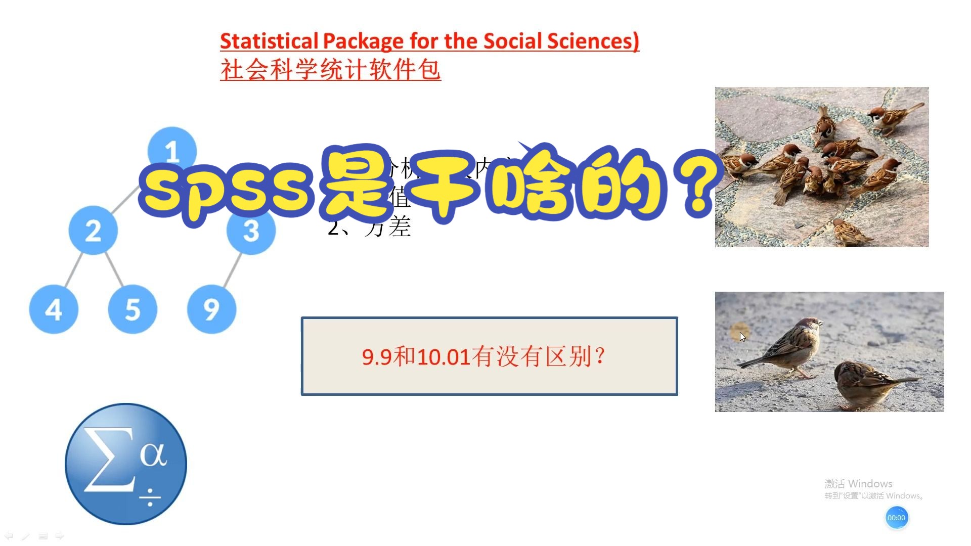 SPSS入门课堂1.spss软件是干什么的?哔哩哔哩bilibili