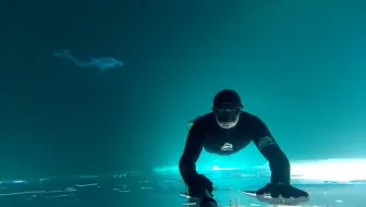 Gopro防水衣 夏日潜水 如何拍出魅力无边的海底世界 哔哩哔哩 Bilibili