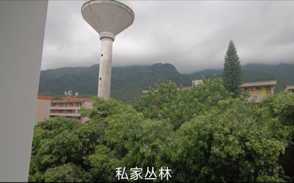 肇庆学院招生减章哔哩哔哩bilibili