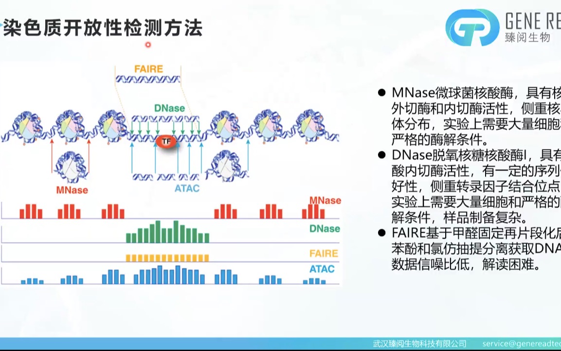 第三期:ATACseq结果数据挖掘和课题设计哔哩哔哩bilibili