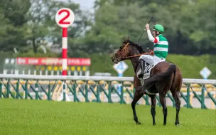 【里見皇冠產駒G1首胜】タスティエーラ/键琴高奏 東京11R  (G1 日本タービー) 4番人気→1着