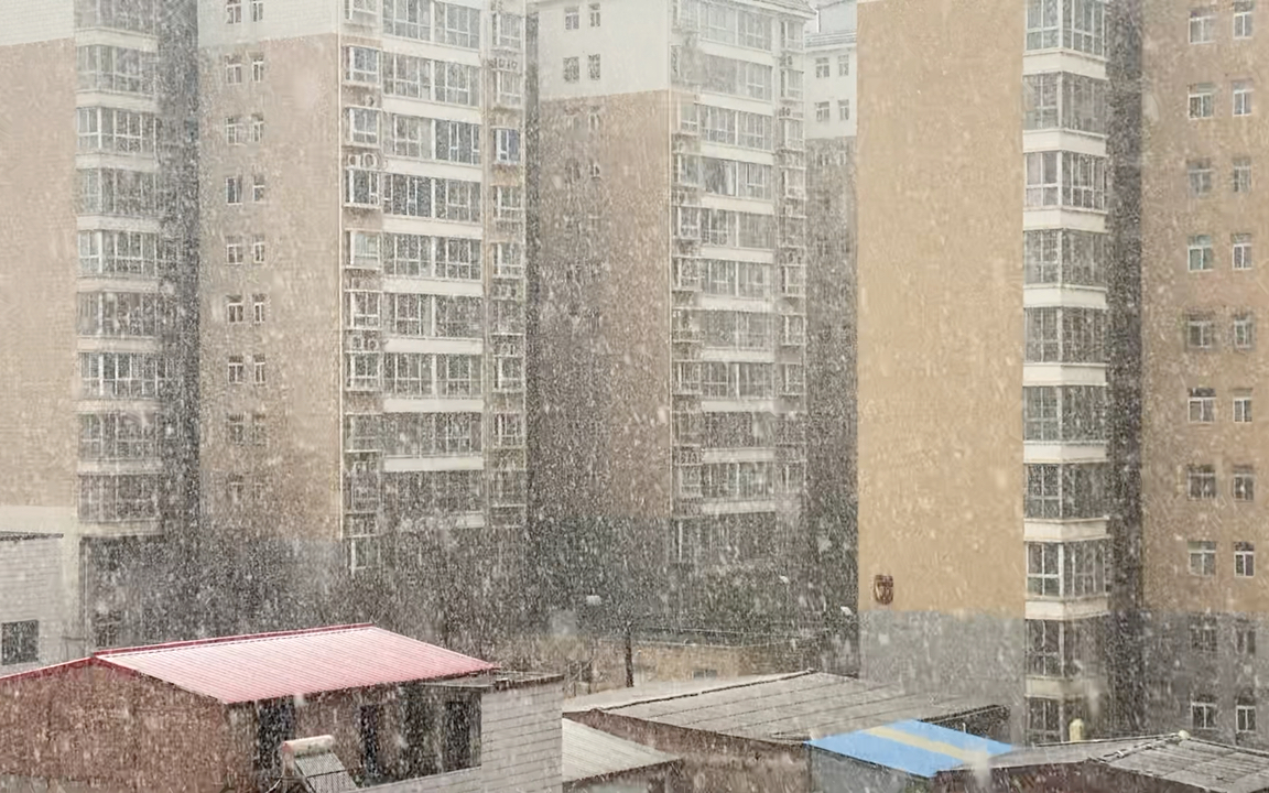 洛阳下雪啦!哔哩哔哩bilibili