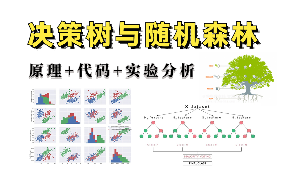【决策树与随机森林】3小时把原理推导,代码实现,实验分析讲得清清