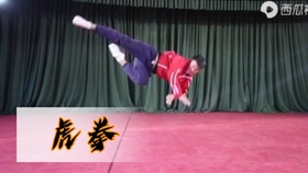 掌底の顔面攻防 大石代悟最高師範 哔哩哔哩 つロ干杯 Bilibili