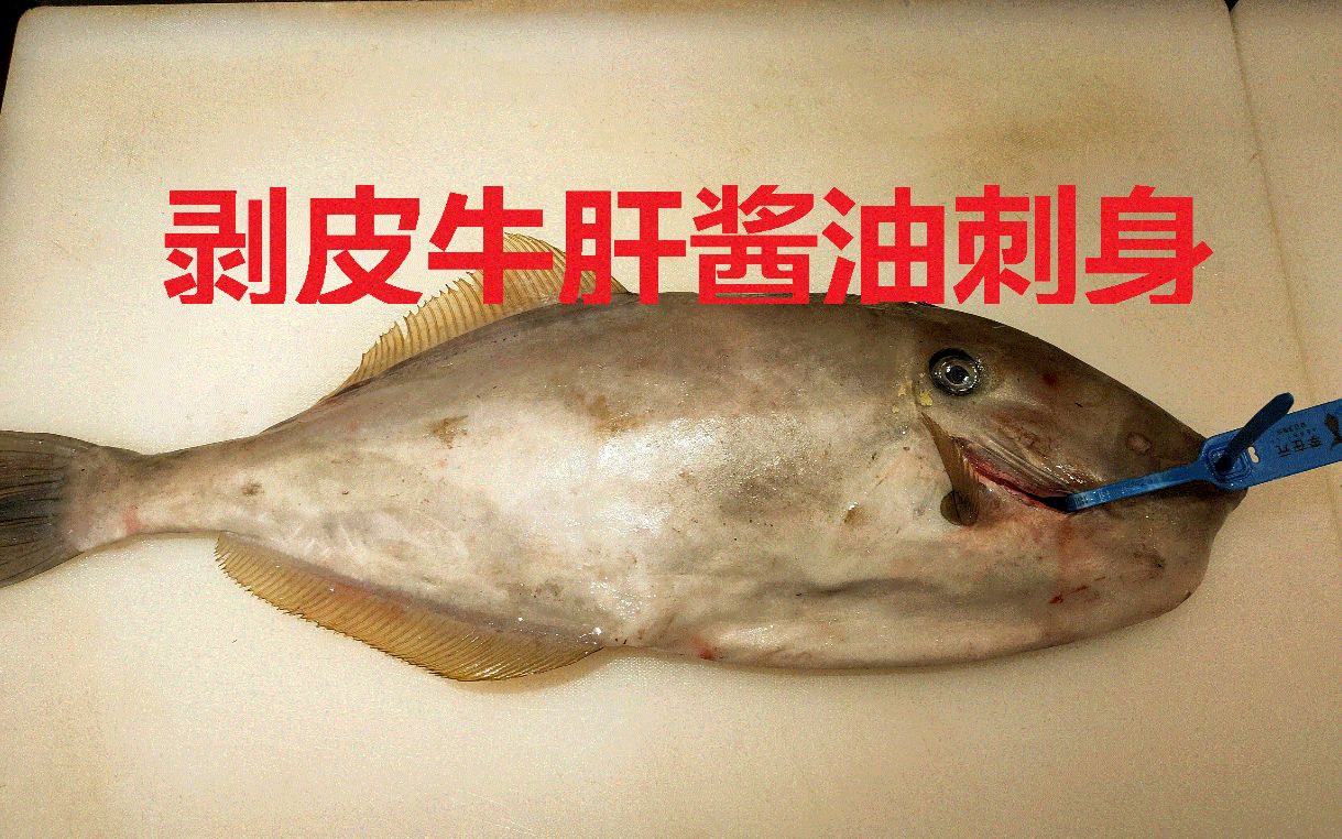 广州汐彩日本料理-剥皮牛鱼肝酱油刺身_哔哩哔哩_bilibili