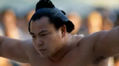 千代大海-哔哩哔哩_Bilibili