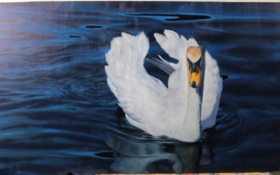 brennerfineart教你用油画绘画逼真水中白天鹅 合集