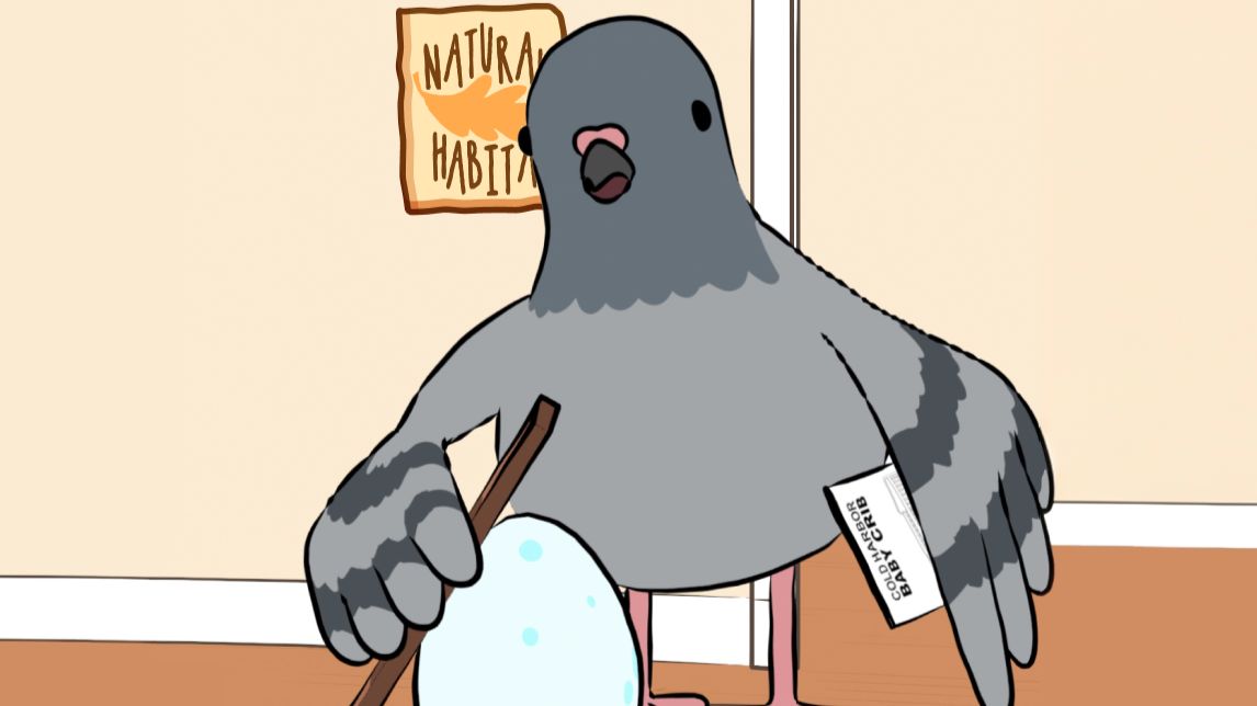 鸽的建筑能力天下无敌🕊️ 🪺 🐣