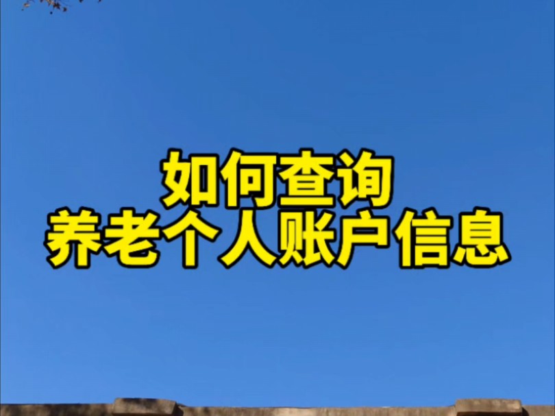 如何查询养老个人账户信息?手机怎么申领失业金?#失业金领取 #社保查询 #养老保险哔哩哔哩bilibili