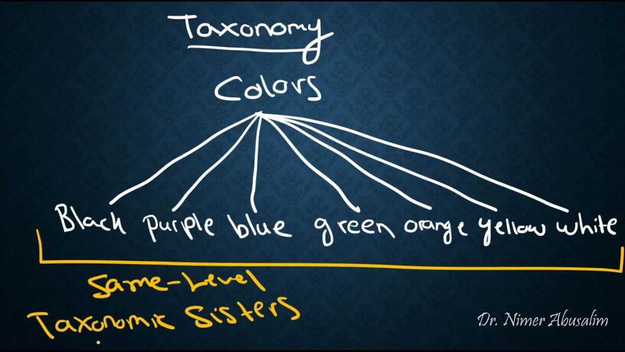 SEMANTICS18 Sense Relations (Taxonomy & Hyponymy)哔哩哔哩bilibili