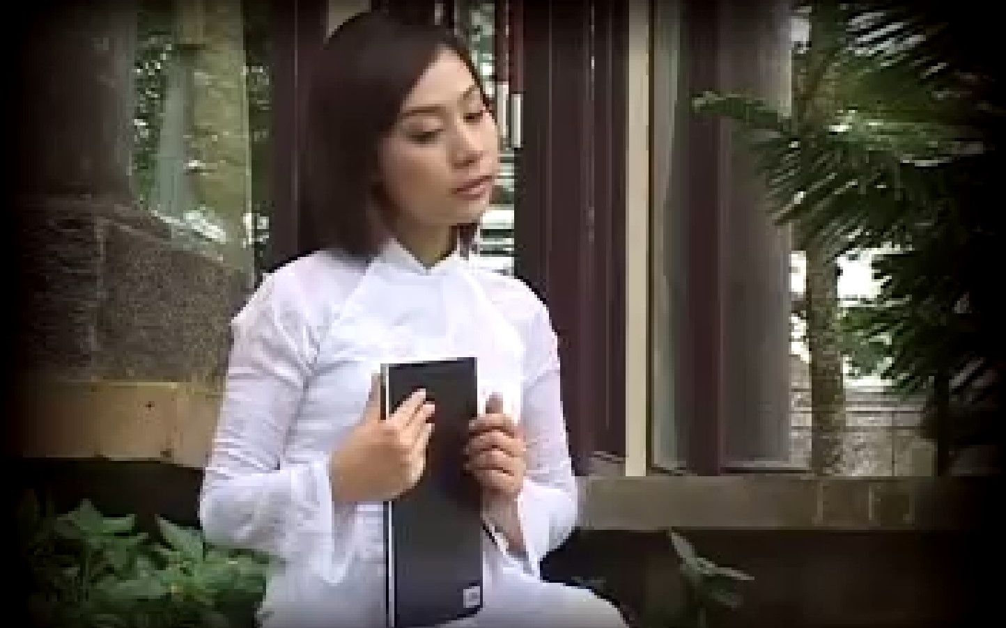 [图]越南音乐MV，官方完整版普清民族风《Nỗi Buồn Hoa Phượng - Phi Anh ，芳华的悲哀》越语单曲经典味道老歌曲请谅解像素