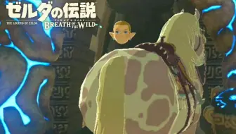 【短发塞尔达】那些真正被修复了的BUG
