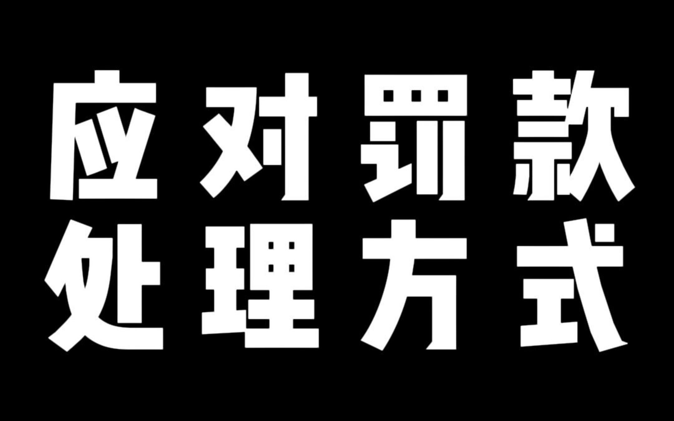 应对罚款 处理方式哔哩哔哩bilibili