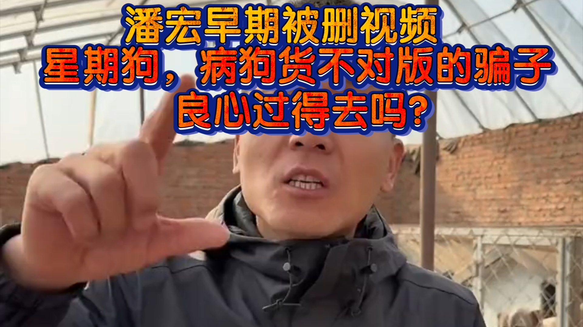 潘宏早期被删视频:卖星期狗,病狗的骗子!良心过得去吗哔哩哔哩bilibili