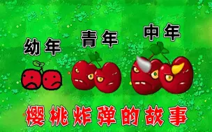 Download Video: 植物大战僵尸：樱桃炸弹的成长史！