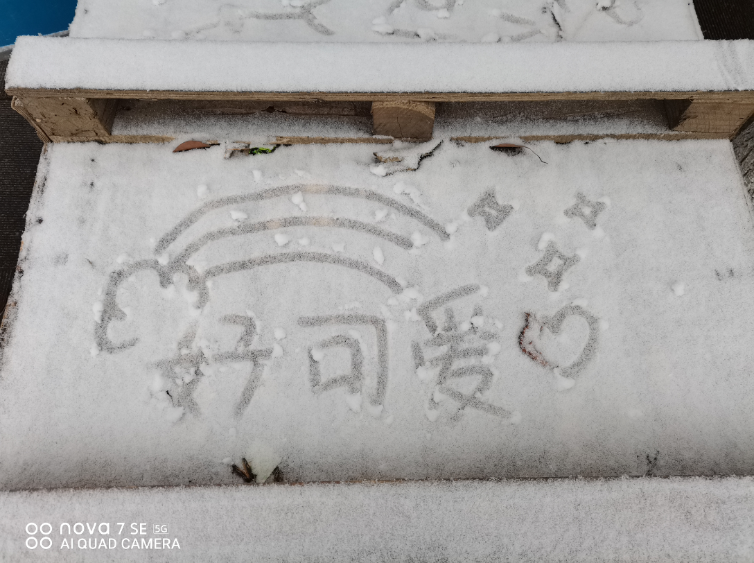 [图]雪花飘扬 飞扬着你的梦