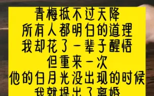 青梅抵不过天降，所有人都明白的道理，我却花了一辈子醒悟。但重来一次，他的白月光没出现的时候，我就提出了离婚。