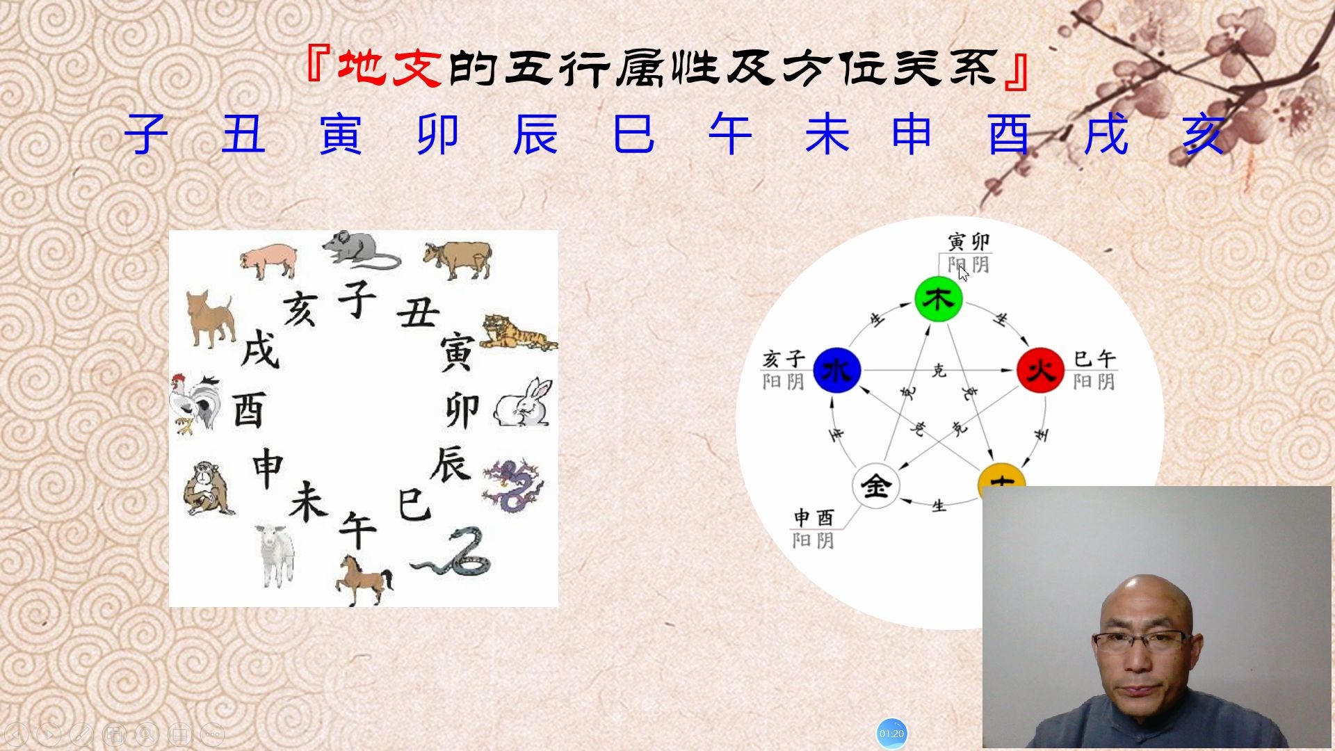 0基础学会易经预测——地支五行属性及方位关系哔哩哔哩bilibili