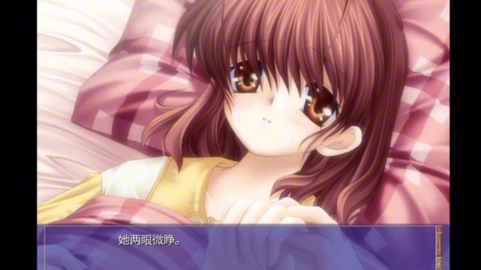 [图]手机电脑都可以玩!![CLANNAD]自带补丁附带安装教程解压即可玩!