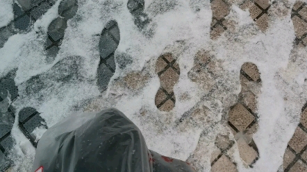 [图]长沙这破雪……