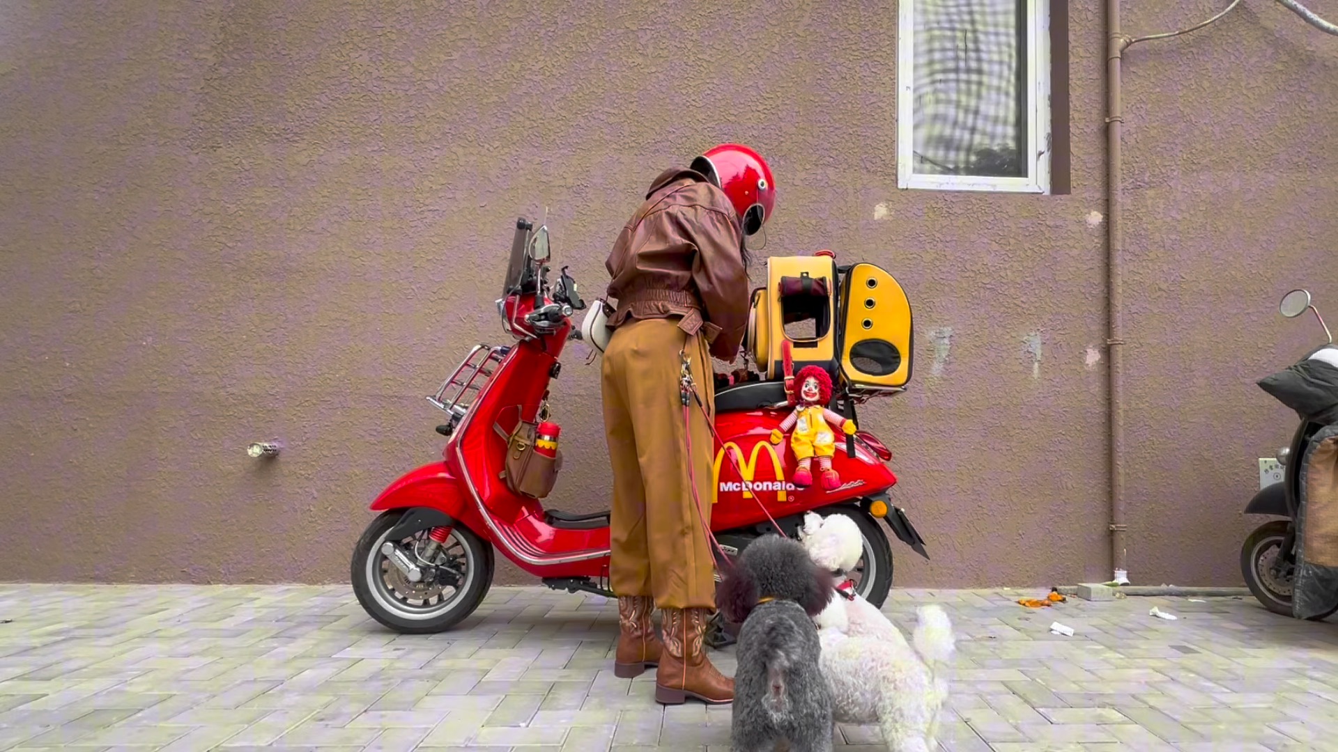 骑vespa带狗去兜风