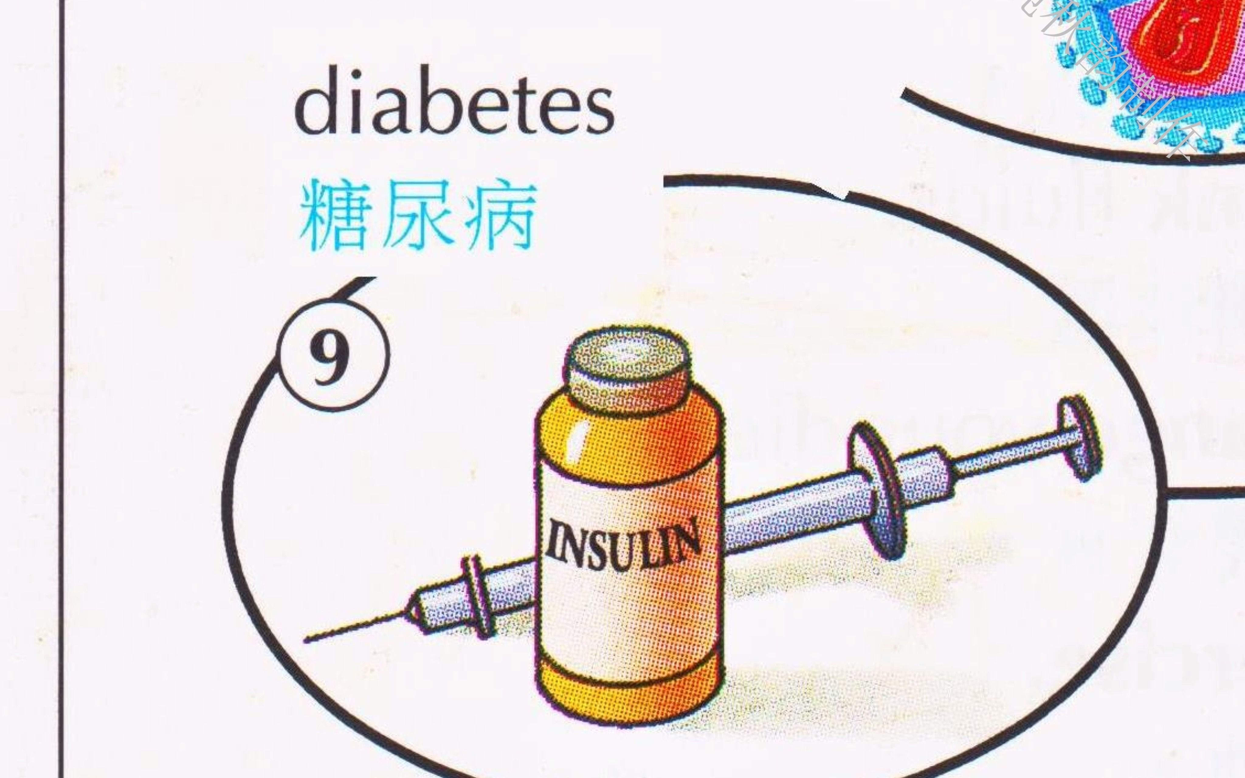 第六十七节:疾病和病况 illnesses and Medical Conditions哔哩哔哩bilibili