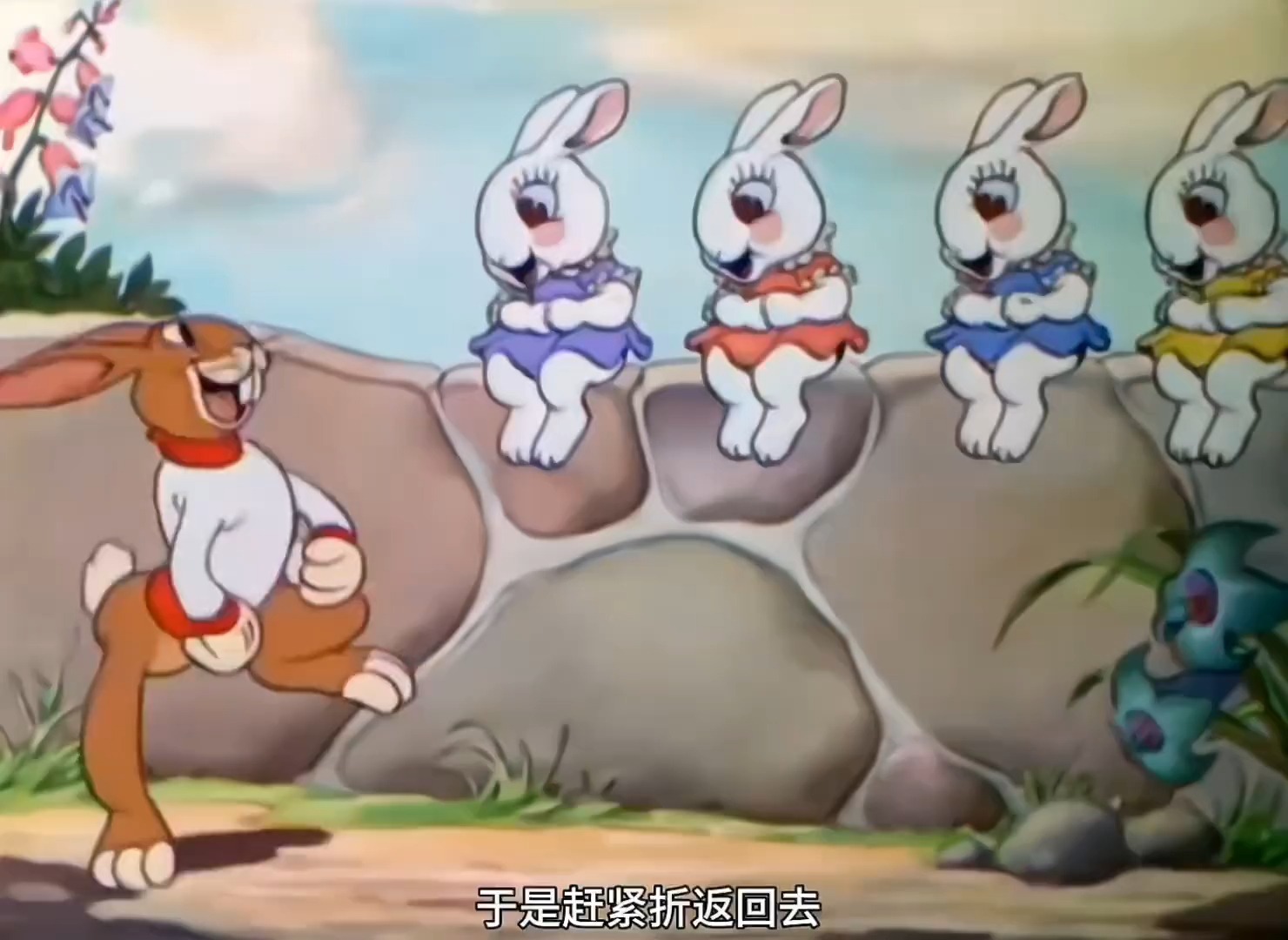 《龟兔赛跑》一口气看完