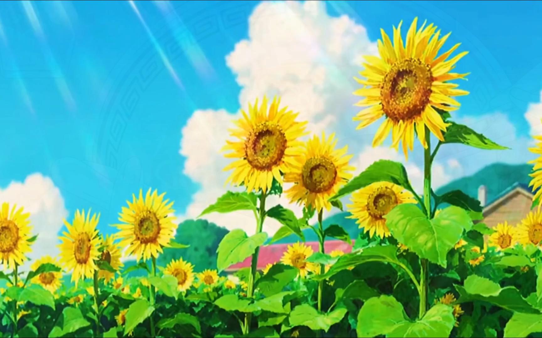 属于宫崎骏的夏天