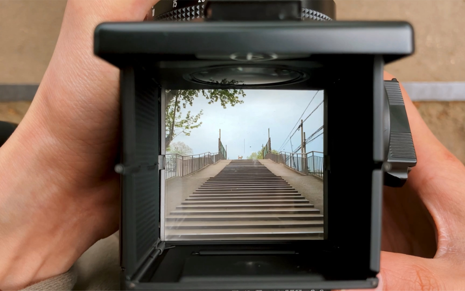 胶片摄影 哈苏501c 胶片相机 胶卷 取景器里的世界 直出 照片 原片