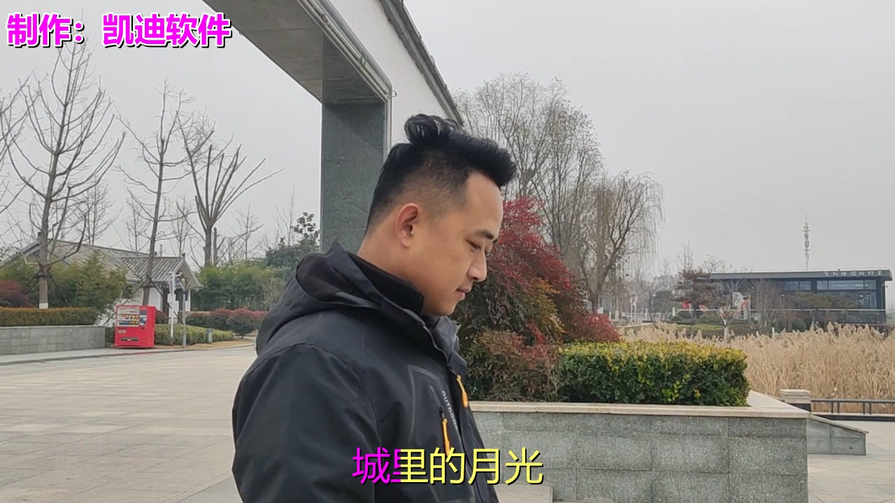 [图]经典音乐，一首《蝴蝶不流泪》经典回忆，歌声柔美细腻