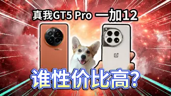 Download Video: 【真我GT5 Pro】对比一加12，谁性价比高？