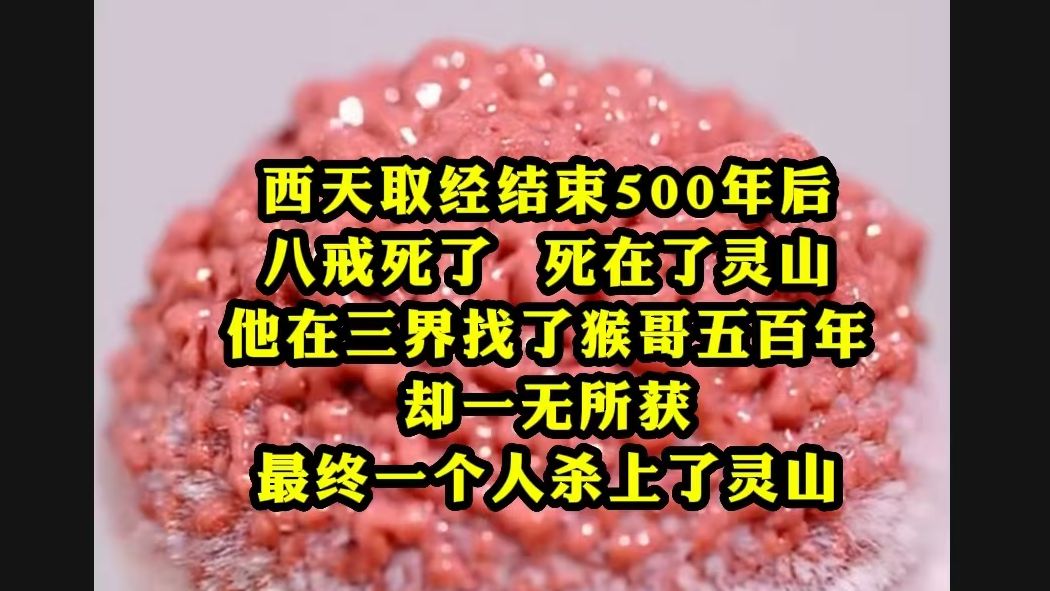 西天取经结束500年后,八戒死了,死在了灵山,他在三界找了猴哥五百年,却一无所获,最终一个人杀上了灵山,击败了五百罗汉,三千诸佛,拼尽了毕...