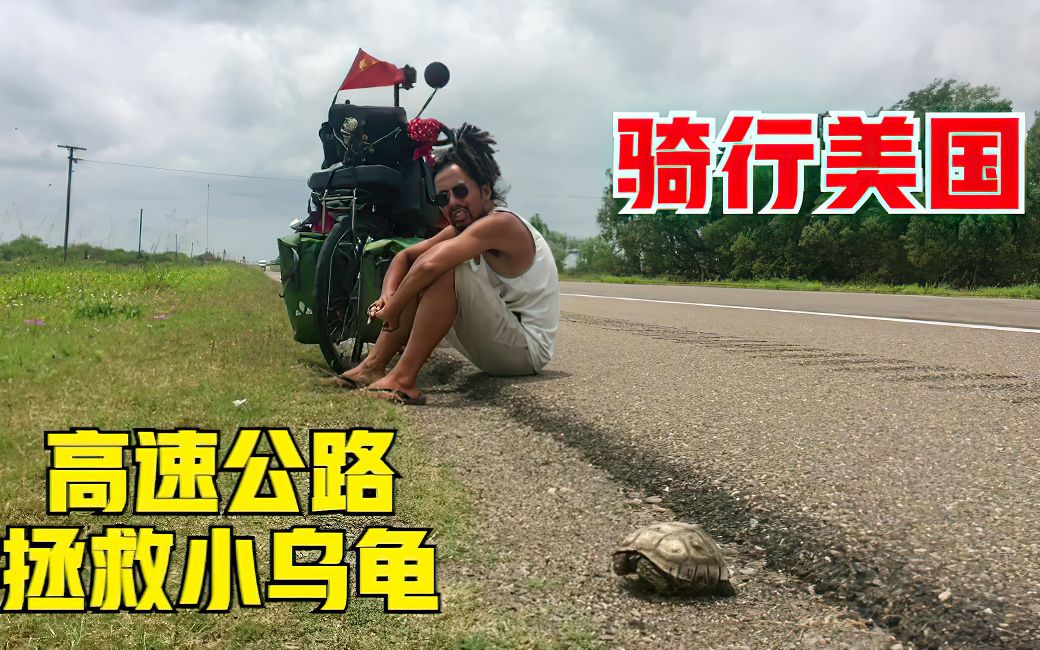 [图]环球旅行美国，拯救高速公路上贪玩的小乌龟，最后一只死的很悲壮