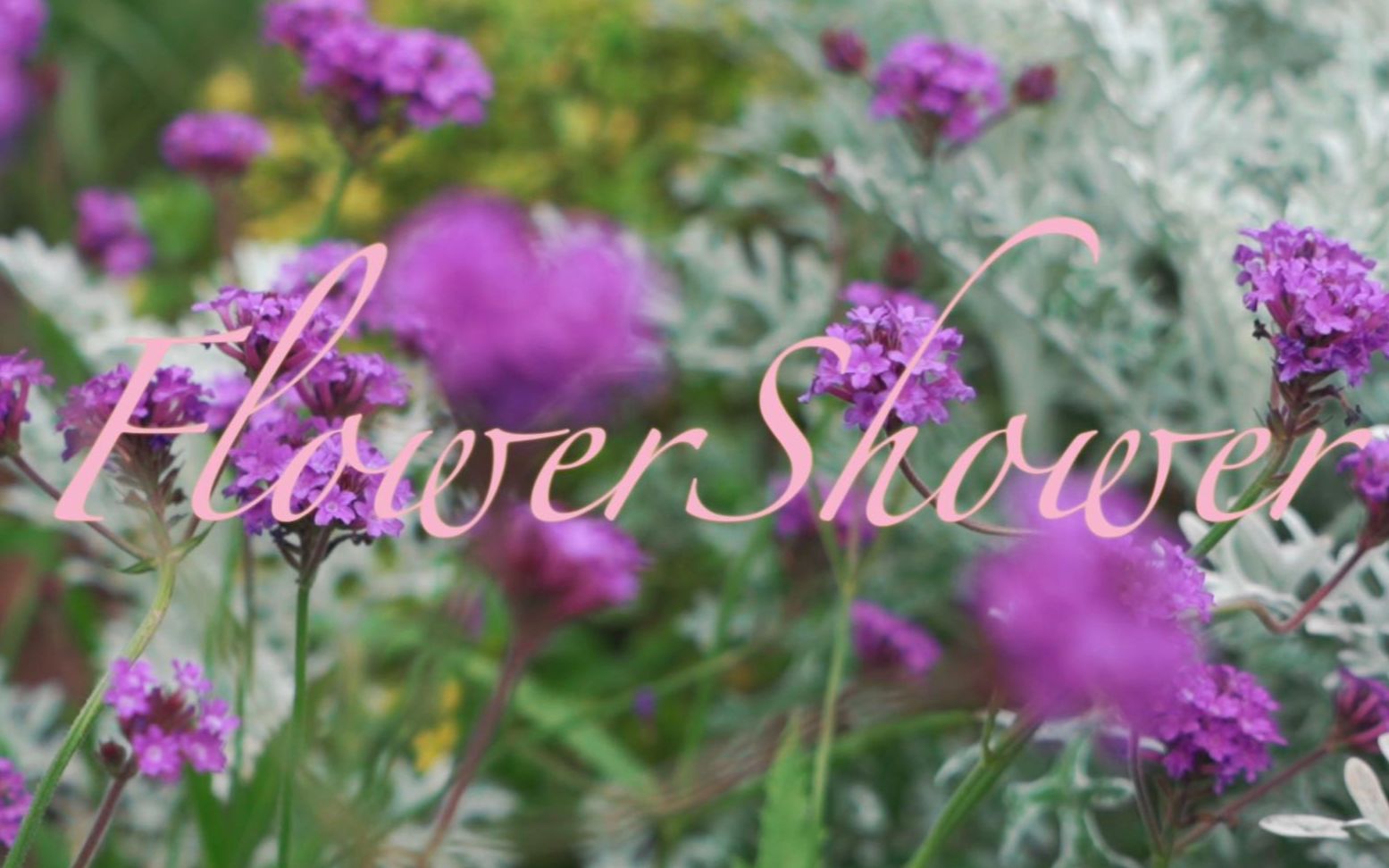 【金泫雅】flower shower 韩舞翻跳