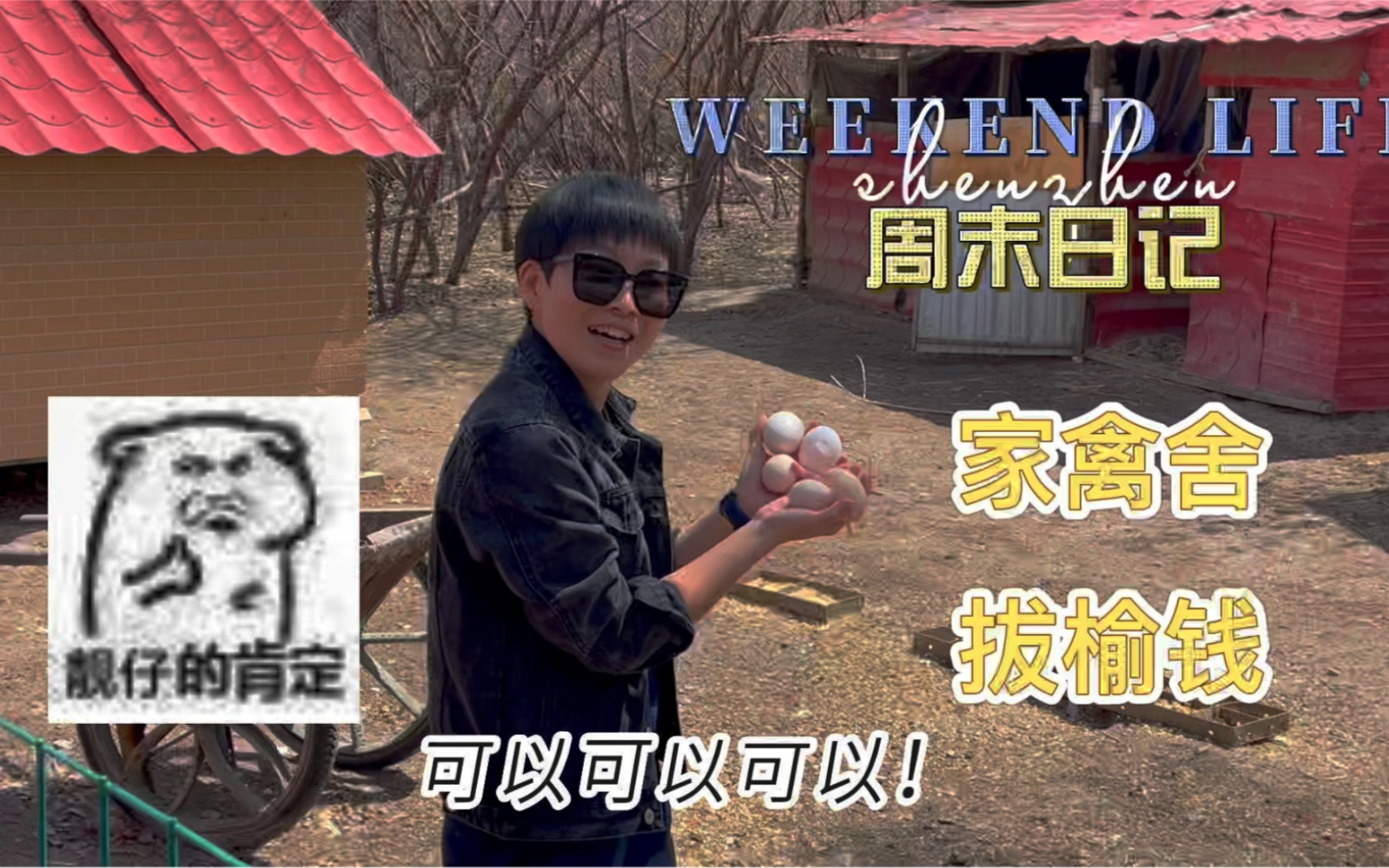 啊阳阳的周末日记