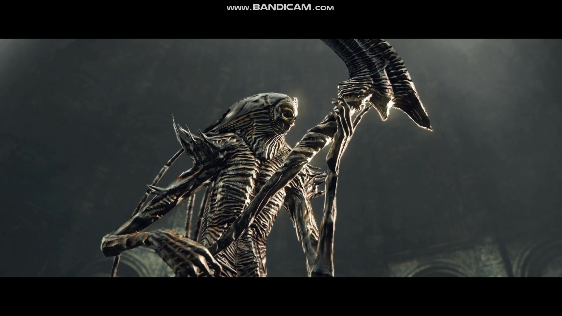 【黑暗之魂2原罪学者】半初见杜娜湘卓和安迪尔