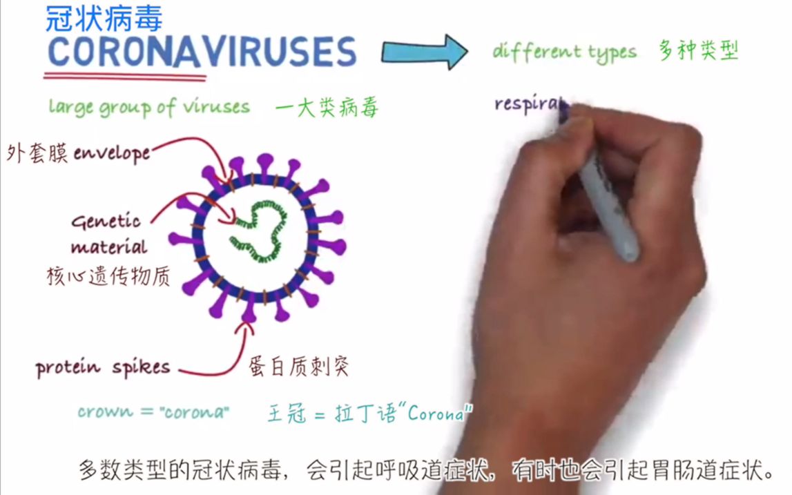 COVID19科普(更新了医学名词和正式名称)哔哩哔哩bilibili