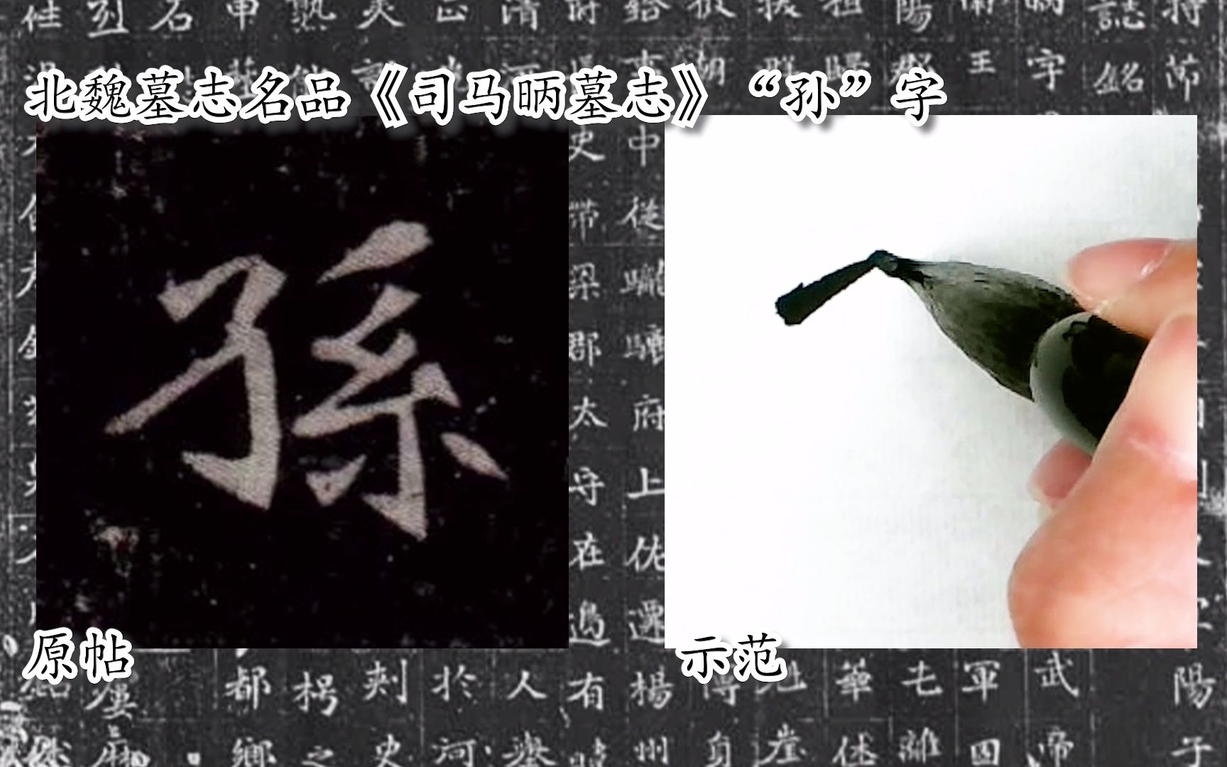 [图]【每日一字】书法系列，周东芬临北魏楷书《司马昞墓志》“孙”字