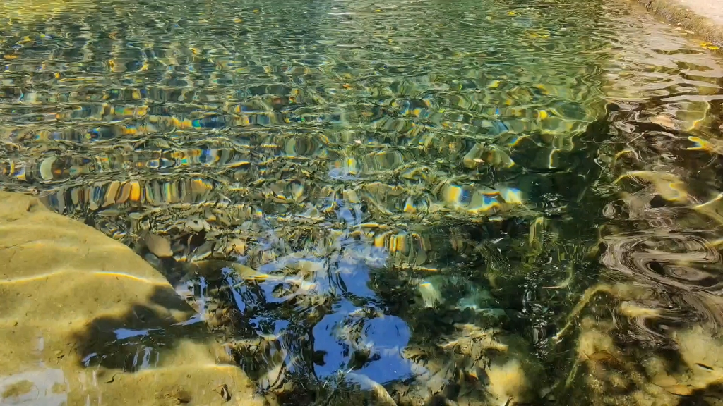 [图]岭南四大名山——鼎湖山