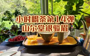 Download Video: 小时喝茶第14弹——山尔堂银骏眉