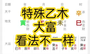 Download Video: 特殊的乙木，要富贵，看法是不一样的