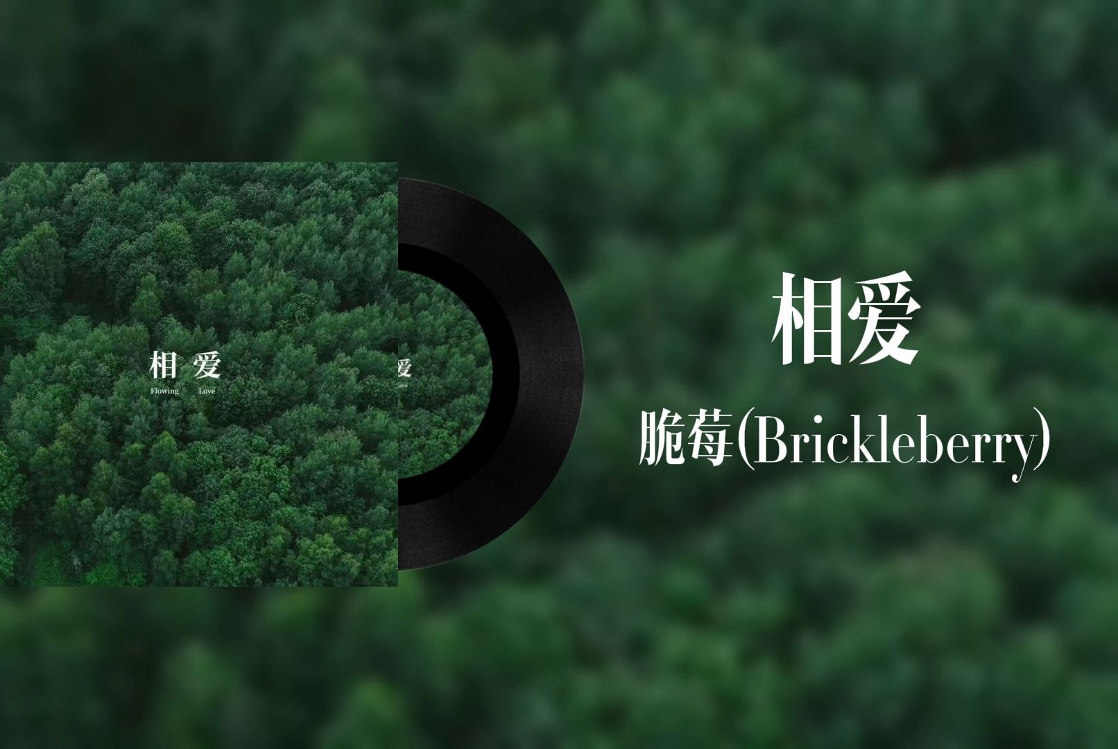 【日推歌单】《相爱》——脆莓(brickleberry)