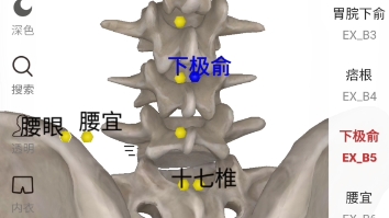 经外奇穴腧穴分布图示:这是最后一个腧穴分布图了,从第一个图开始,我们分享了十二经络,任督二脉,经外奇穴一共十五个视频哔哩哔哩bilibili