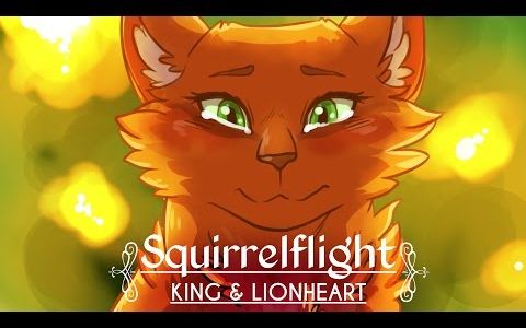 【猫武士】松鼠飞  King and Lionheart  MAP AMV哔哩哔哩bilibili